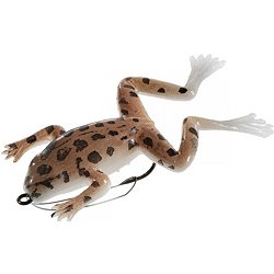 Realistic Frog Lures  DICK's Sporting Goods
