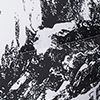 White Berg Print/Blk/Whte