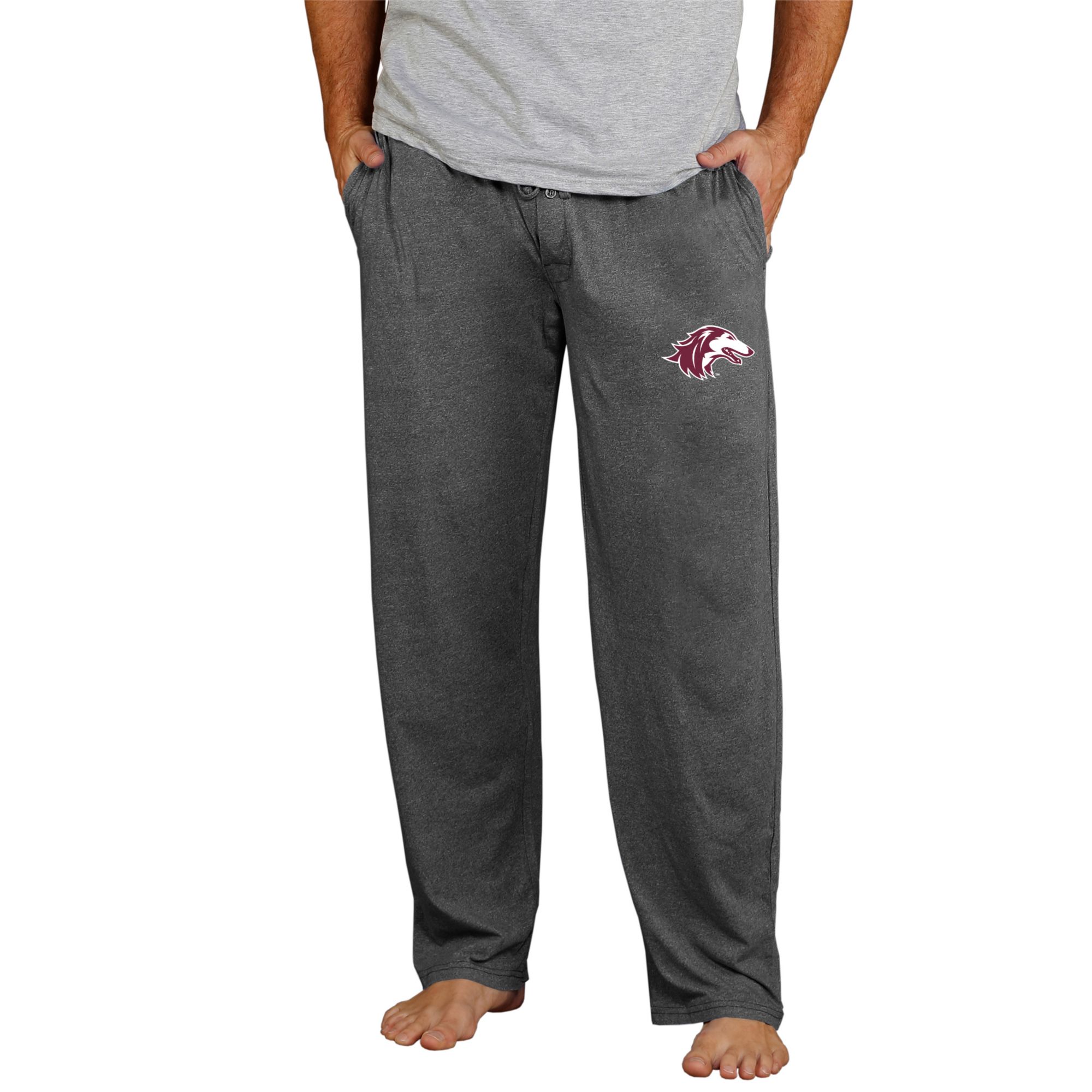 Southern Illinois Salukis