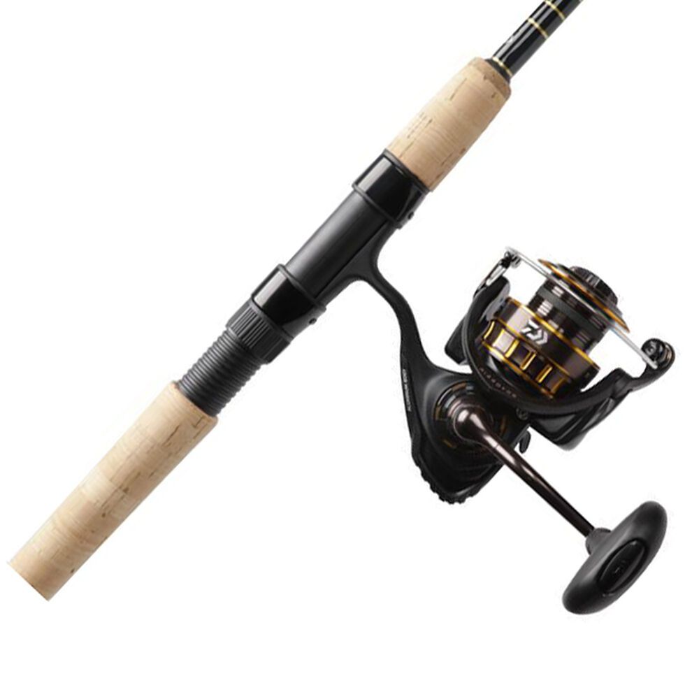 Dick's Sporting Goods Daiwa BG Inshore Spinning Combo