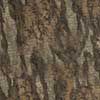 Bottomland
