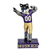 Evergreen Washington Huskies Mascot Statue
