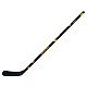 Boston Bruins