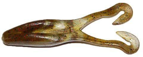 Gambler Buzz'n Cane Toad Frog