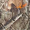 Realtree Edge
