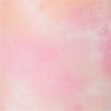 Dreamsicle