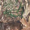 Realtree Edge