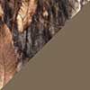 Realtree Edge