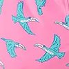 The Toucan Do Its