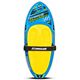 Blue/Yellow