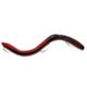 Red Shad