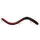 Red Shad