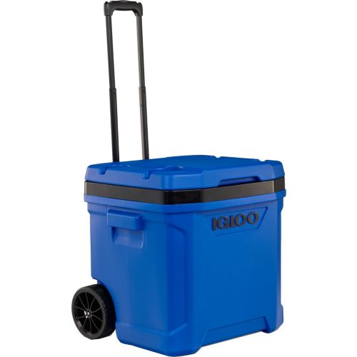 Coleman 316 Series 62-Quart Hard Cooler Dick's Sporting Goods