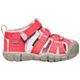 Dubarry/Pink A Boo