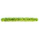 Chartreuse Pepper