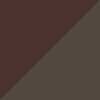 Matte Tortoise/Dark Brown Lens
