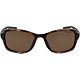 Tortoise/Brown