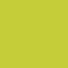 Bright Cactus