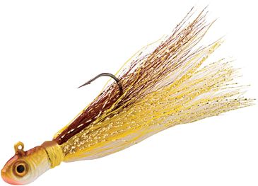Gold Shiner