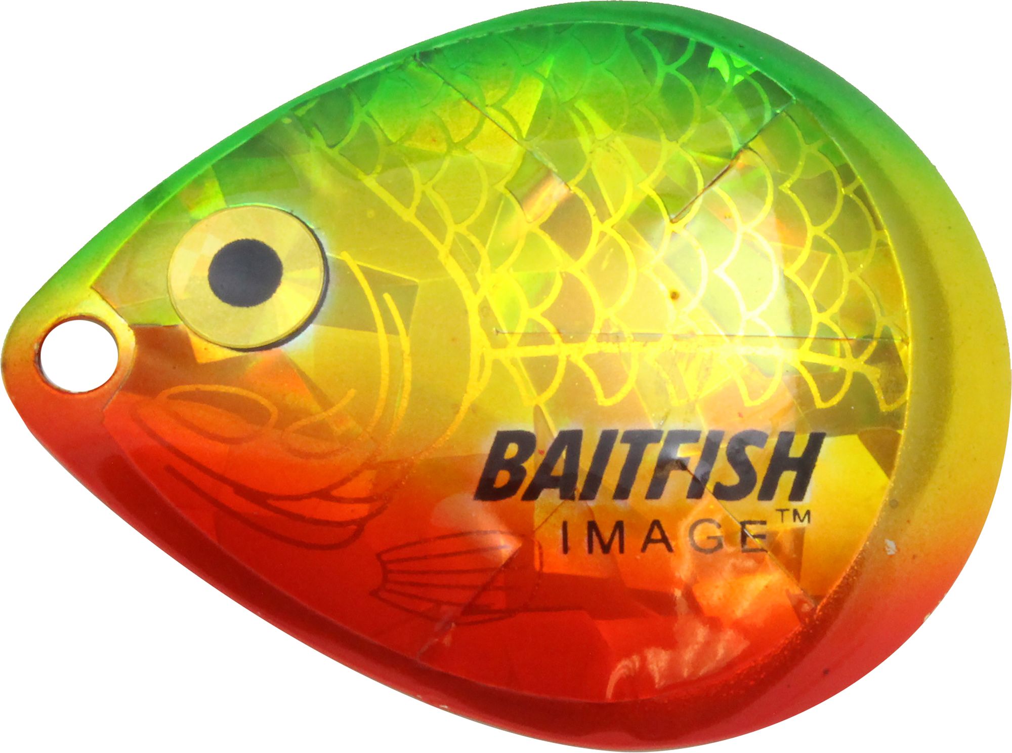 Gold Perch