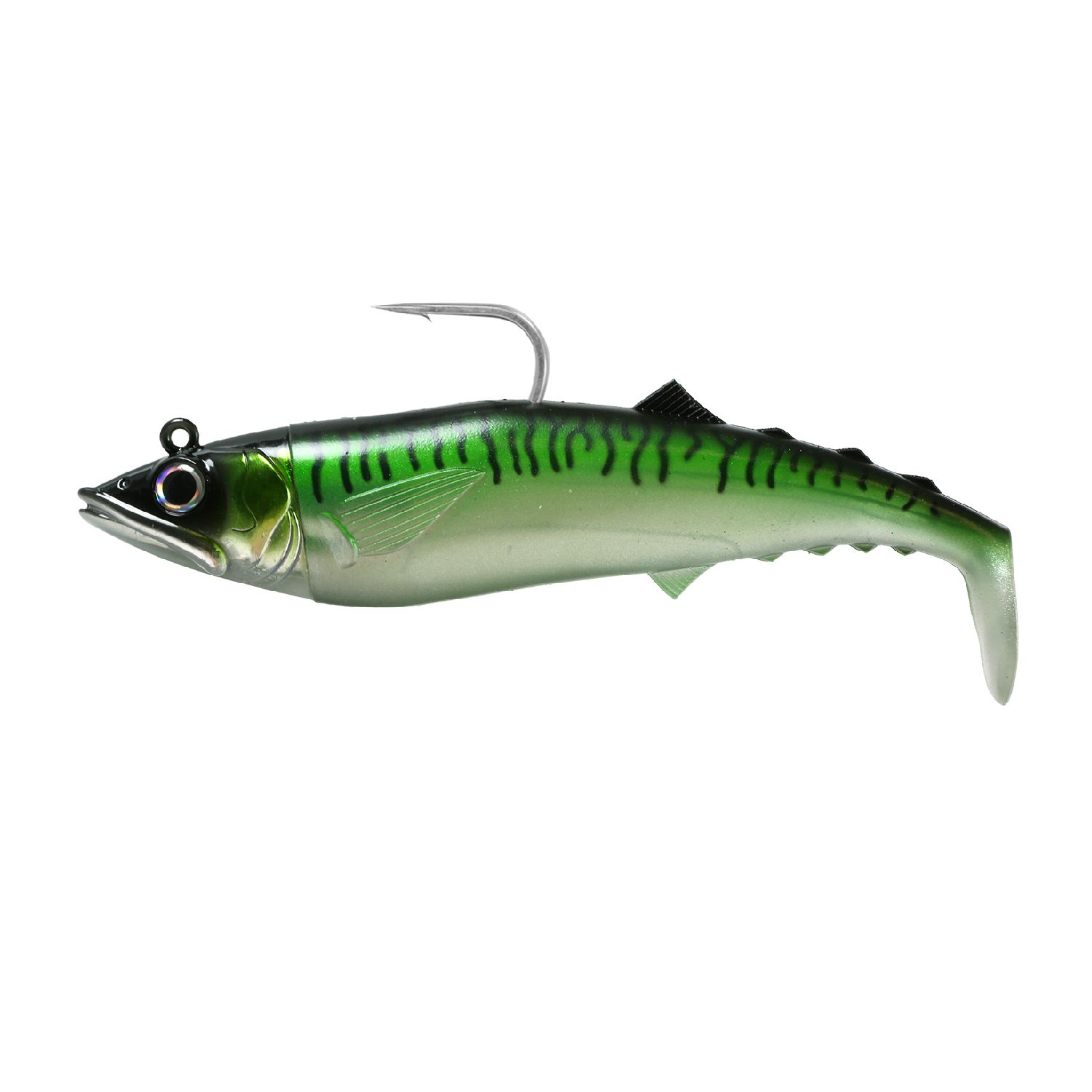 Green Mackerel