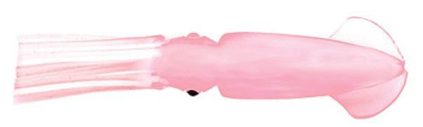 Pink Solid