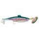 Rainbow/Trout