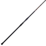 PENN Fishing Battalion II Inshore Spinning Rod | Dick's