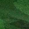 Moss Camo