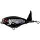 Loon