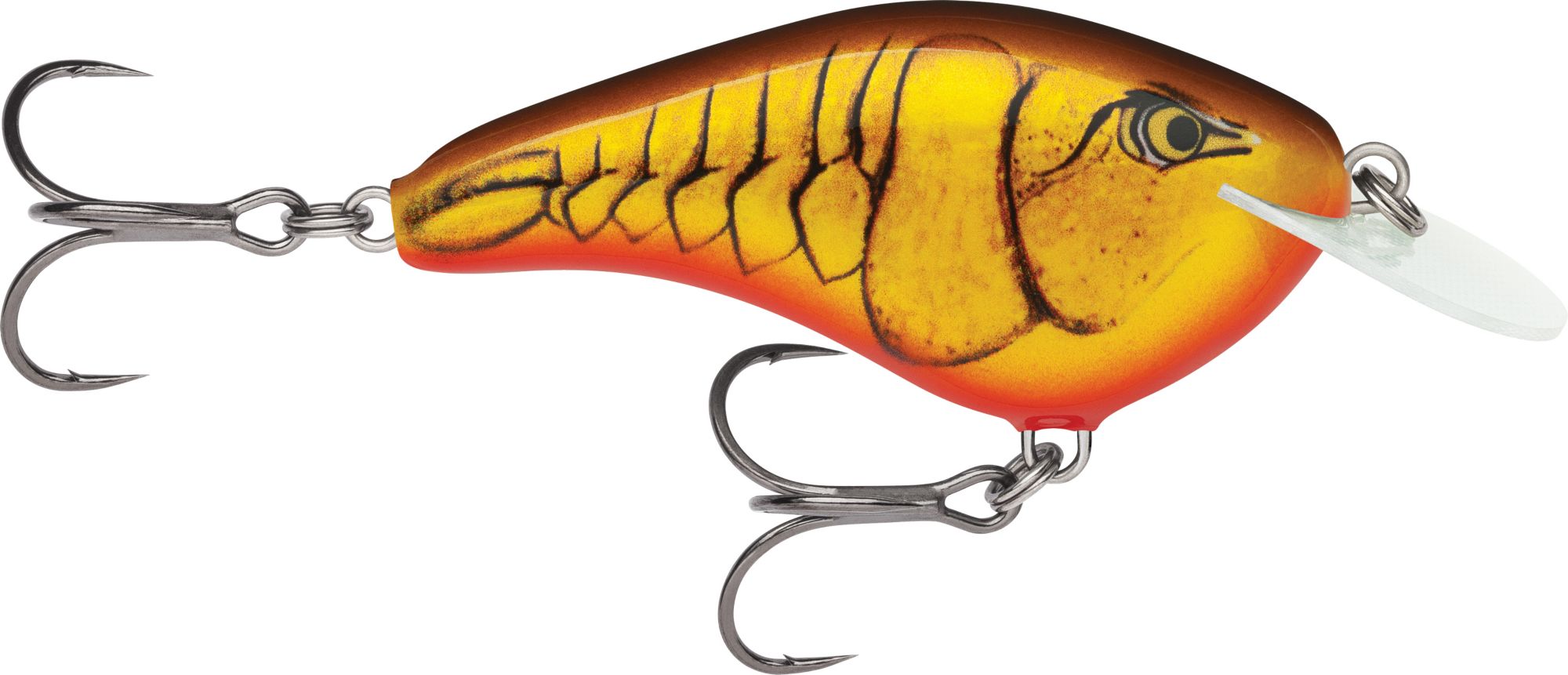 Dark Brown Crawdad