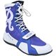 Blue/White