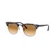 Clear Grad Brown