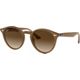Light Brown Gradient
