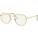 Clear/Gold