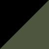 Black/Green