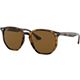 Havana/Polished Brown
