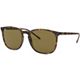 Havana/Dark Brown