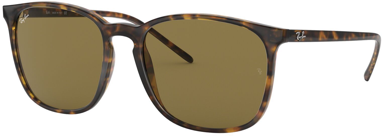Ray-Ban 4387 Sunglasses