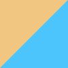 Gold/Blue Polarized