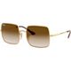 Gold/Brown