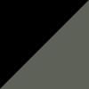 Black/Green Polarized