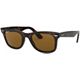 Havana/Brown Polarized