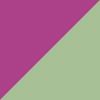 White/Green/Purple