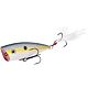 Sexy Shad