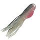 Bleeding Shad