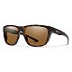 Matte Tortoise/ChromaPop Polarized Brown
