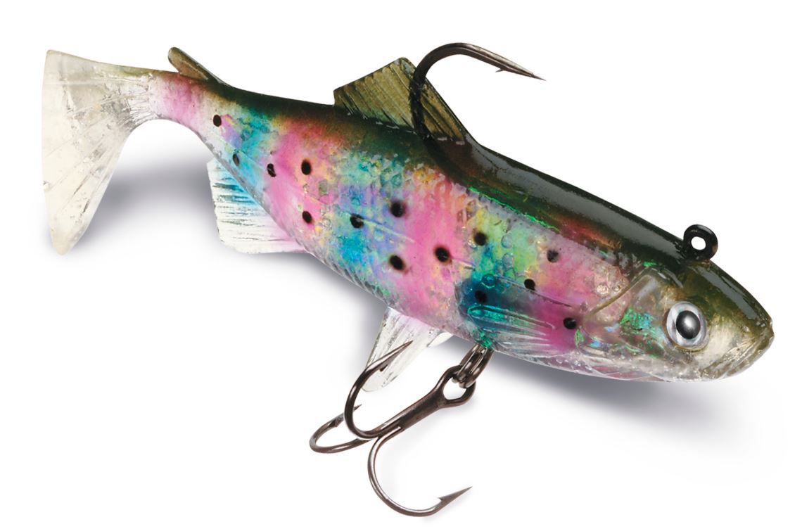 Rainbow Trout
