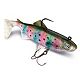 Rainbow Trout