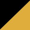 Pittsburgh Steelers